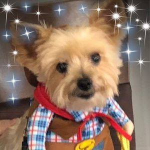 Meet your Posher, Betty ann